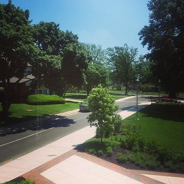 Gorgeous Campus! 🌲🌻🌼☀ Photograph by Paige Smith