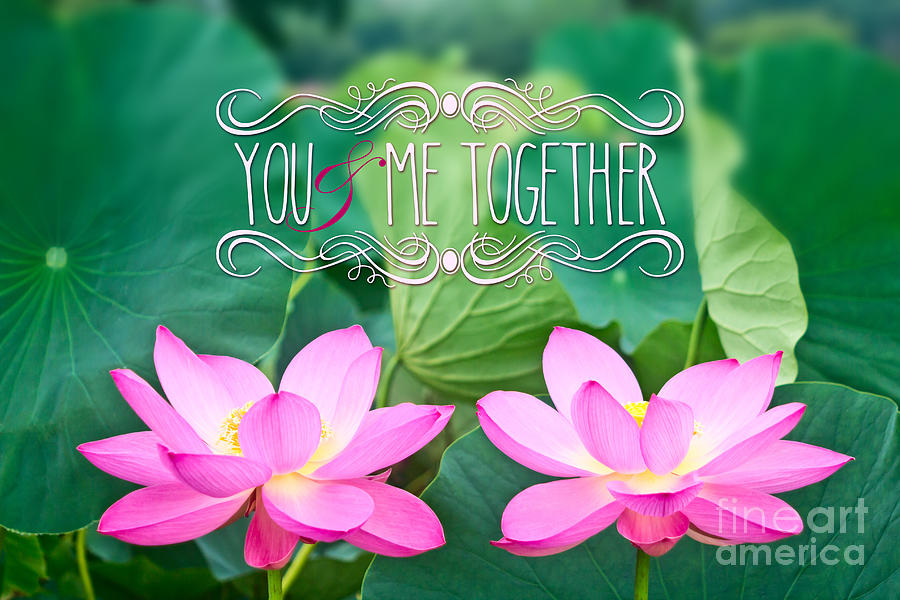 Gorgeous Pair Pink Lotus Couple Blossoms Green Leaves Photograph by Beverly Claire Kaiya