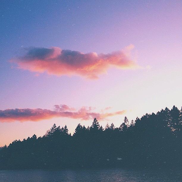 Tree Photograph - Gorgeous Sunset Off Beaver Lake. #lake by Brad Sinclair