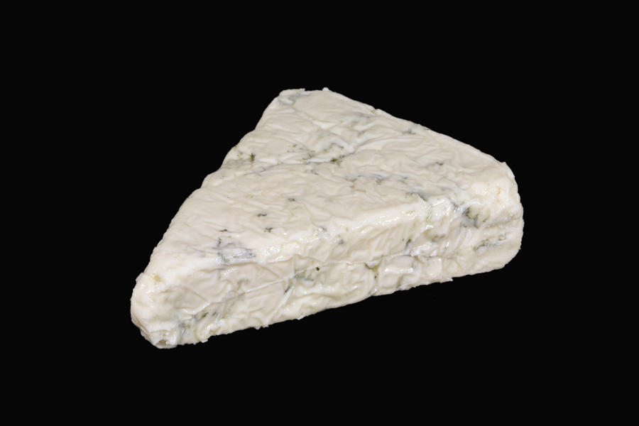 Gorgonzola Cheese Photograph by Science Stock Photography