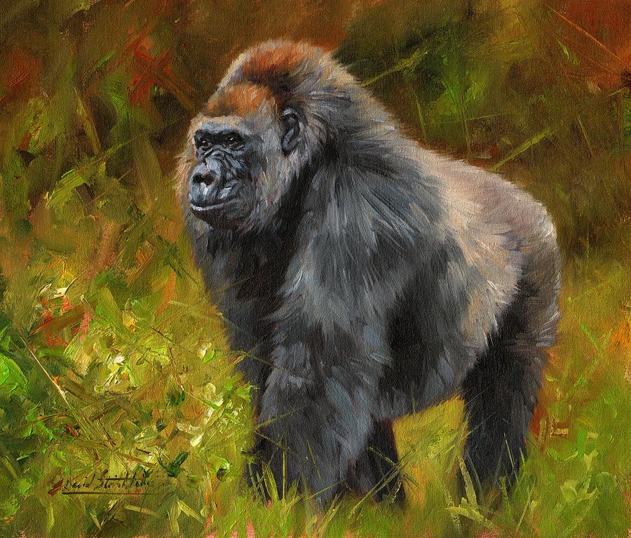 Mammal Painting - Gorilla by David Stribbling