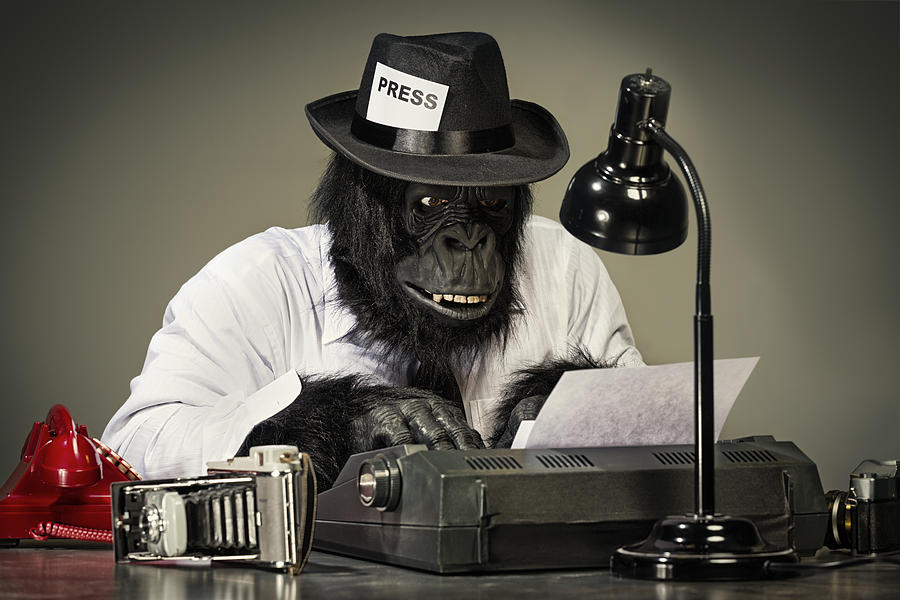 Gorilla Journalist Photograph by RichLegg