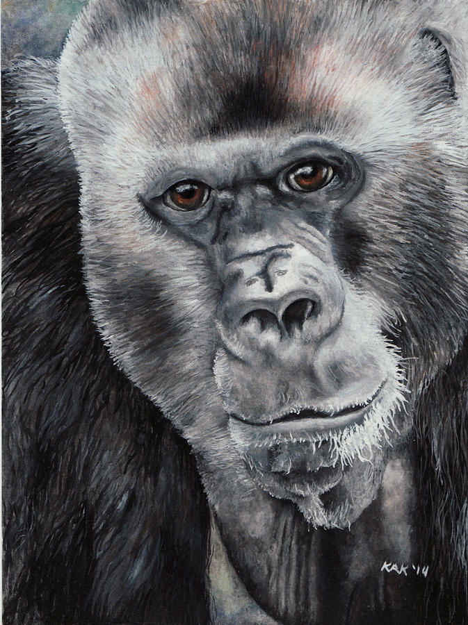 Gorilla Painting - Gorilla by Katherine Klimitas