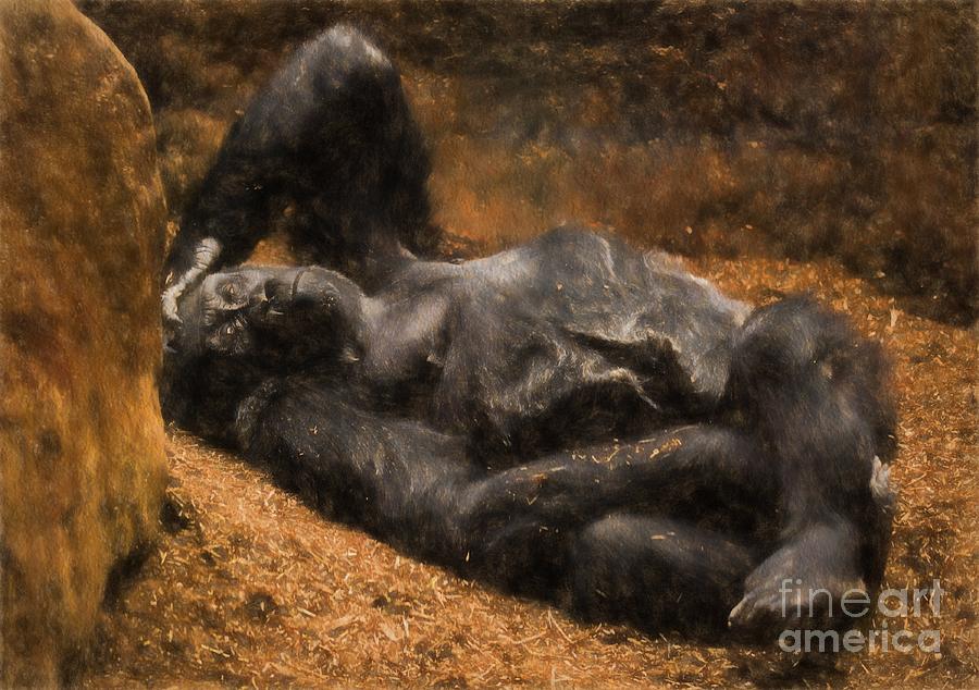 Gorilla - painterly Photograph by Les Palenik
