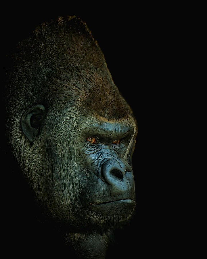 Gorilla Portrait Digital Art Digital Art by Ernest Echols