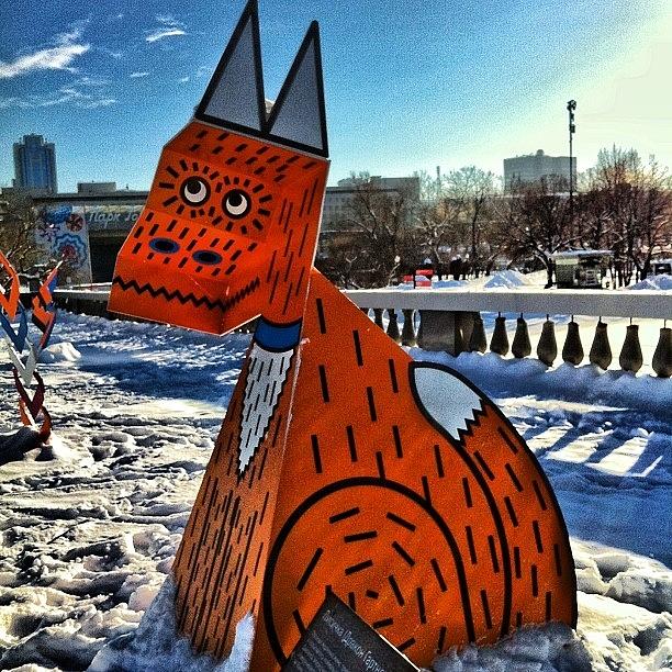 Gorky Park And A Strange Orange Cat:) Photograph by Helen Vitkalova