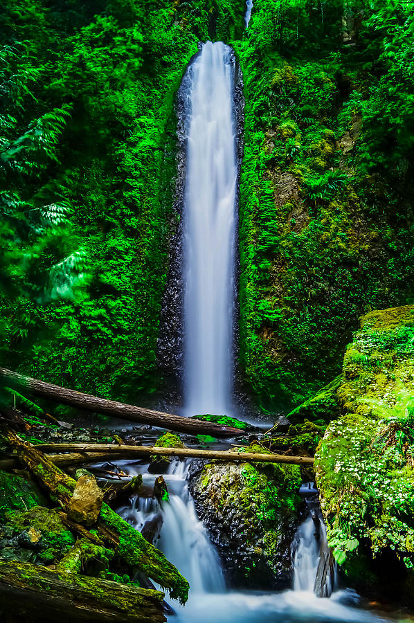 Summer Photograph - Gorton Creek Falls Columbia River Gorge by Priscilla Lupo