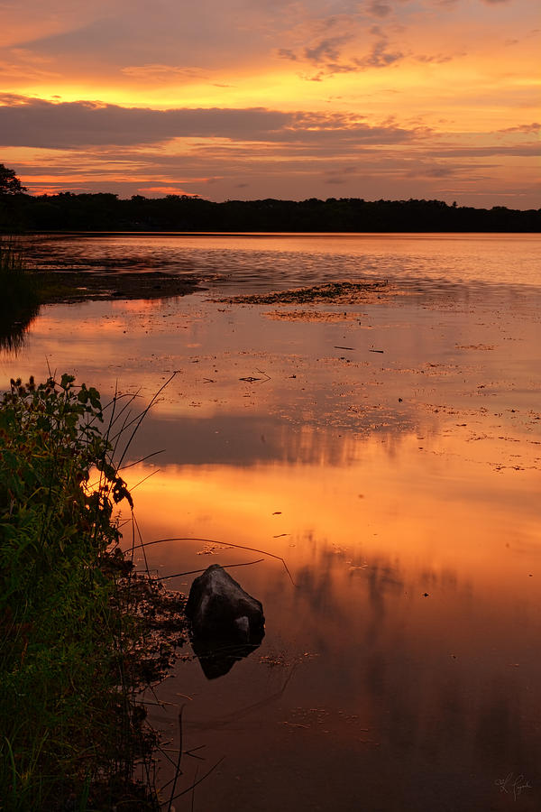 Gorton Pond Warwick Rhode Island Photograph by Lourry Legarde