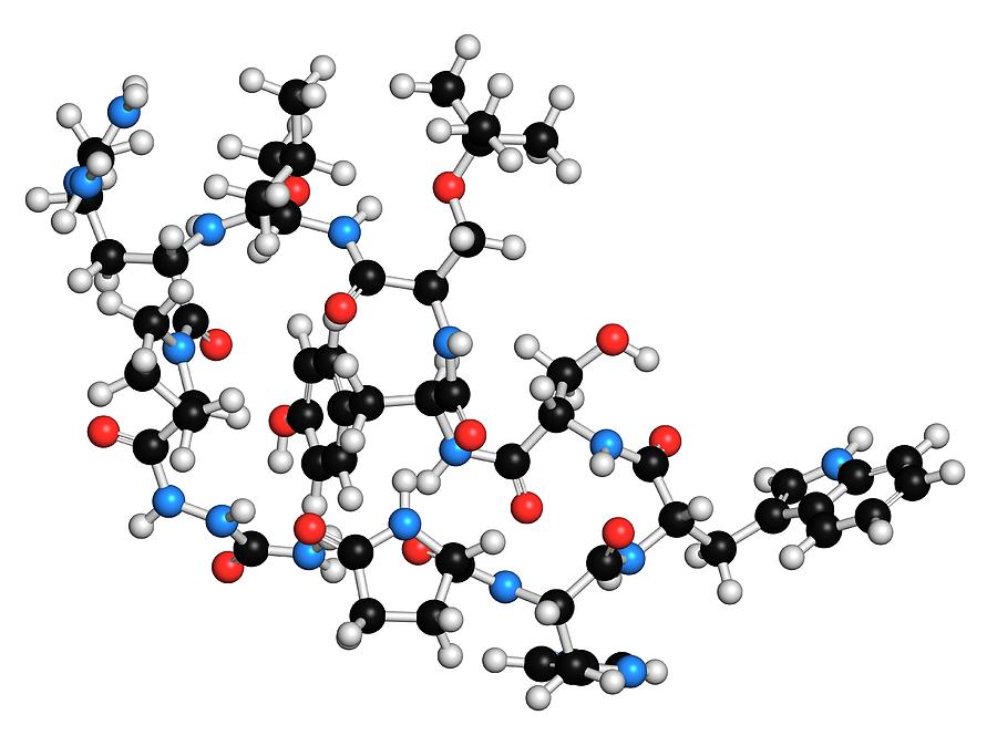 Gonadotropin Photograph - Goserelin Cancer Drug Molecule by Molekuul