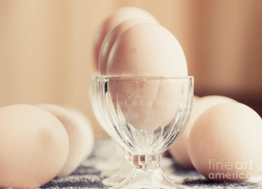 Got Eggs Photograph by Cheryl Baxter