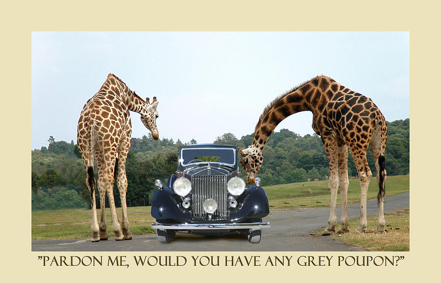 Got Grey Poupon Photograph by Jack Pumphrey