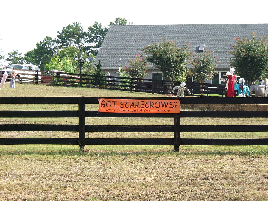 Got Scarecrows Photograph by George Bostian