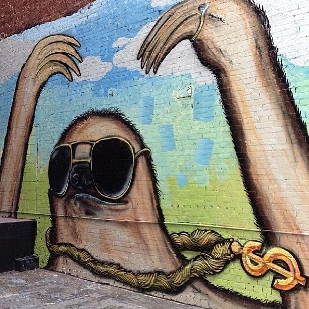 Sloth Photograph - Got Se Sloth Grafitti @zachoaksford And by Kory Magdziuk