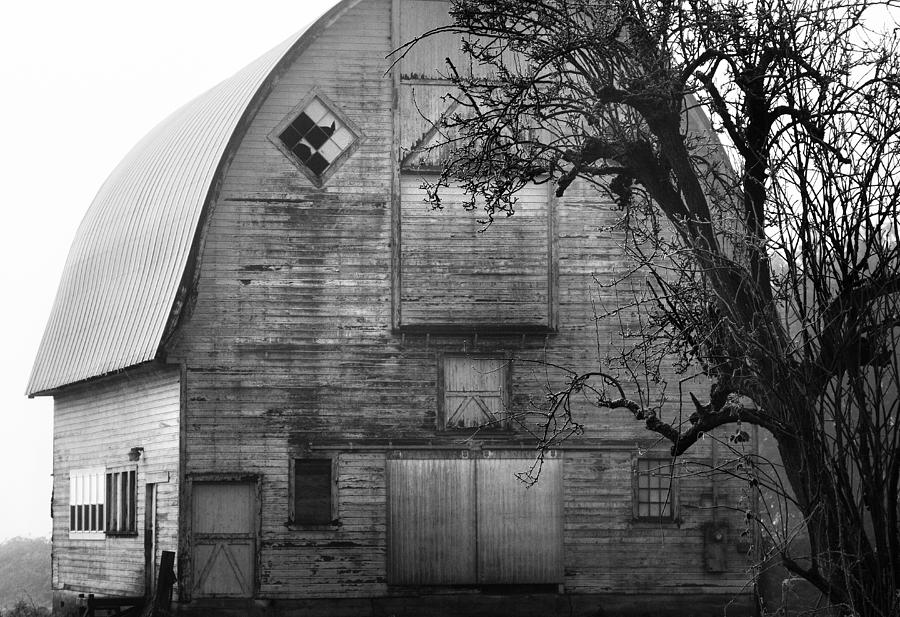 Goth Barn Photograph by Sonya Lang