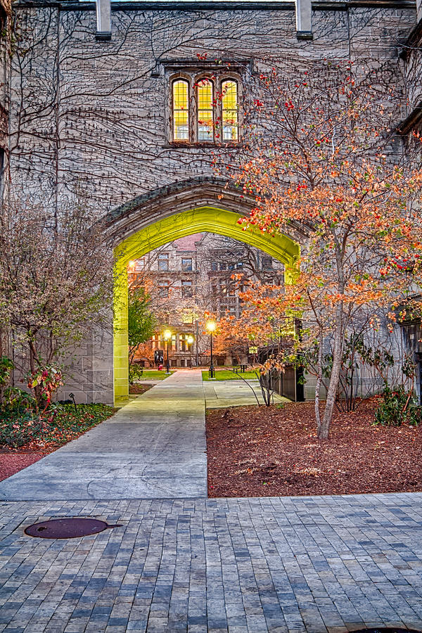 Gothic Arch Photograph by Lindley Johnson