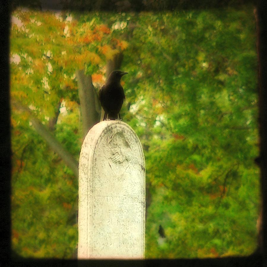 Raven Photograph - Gothic Autumn by Gothicrow Images