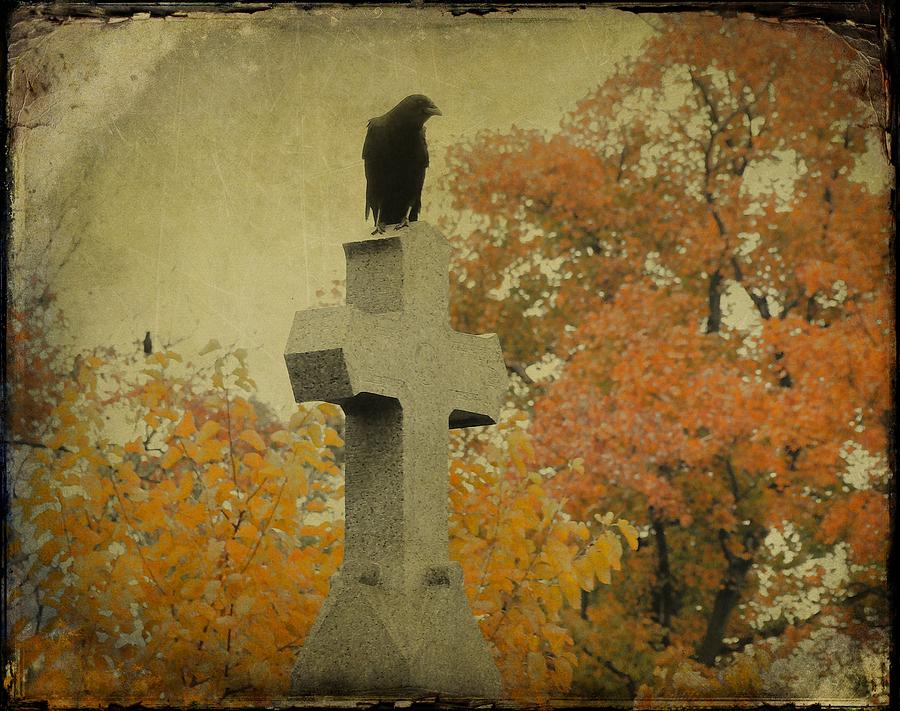 Blackbird Photograph - Gothic Fall Crow by Gothicrow Images