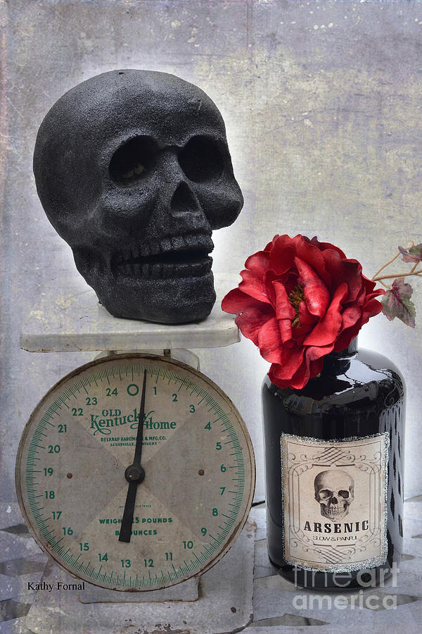 Halloween Photograph - Gothic Fantasy Spooky Halloween Black Skull Arsenic Bottle With Rose by Kathy Fornal