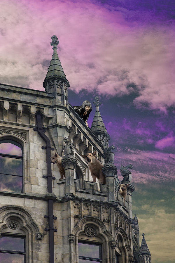 Gothic Galgoyle Digital Art by David Davies