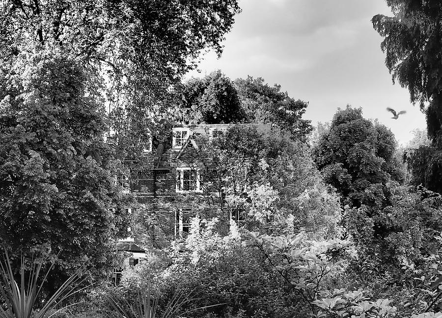 Black And White Photograph - Gothic Hampstead by Rona Black