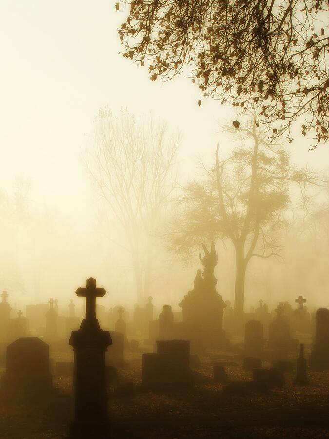 Gothic Morning Photograph By Gothicrow Images - Pixels