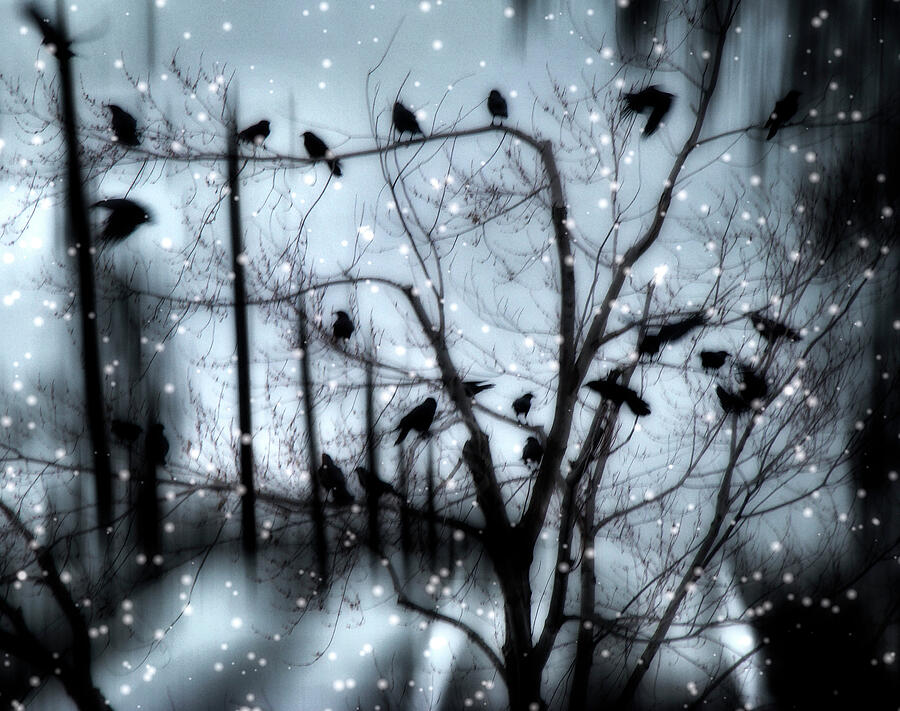 Bird Photograph - Gothic Snow Storm by Gothicrow Images