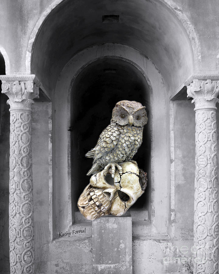Gothic Surreal Spooky Owl and Skull On Post - Surreal Halloween Owl on Skull  Photograph by Kathy Fornal
