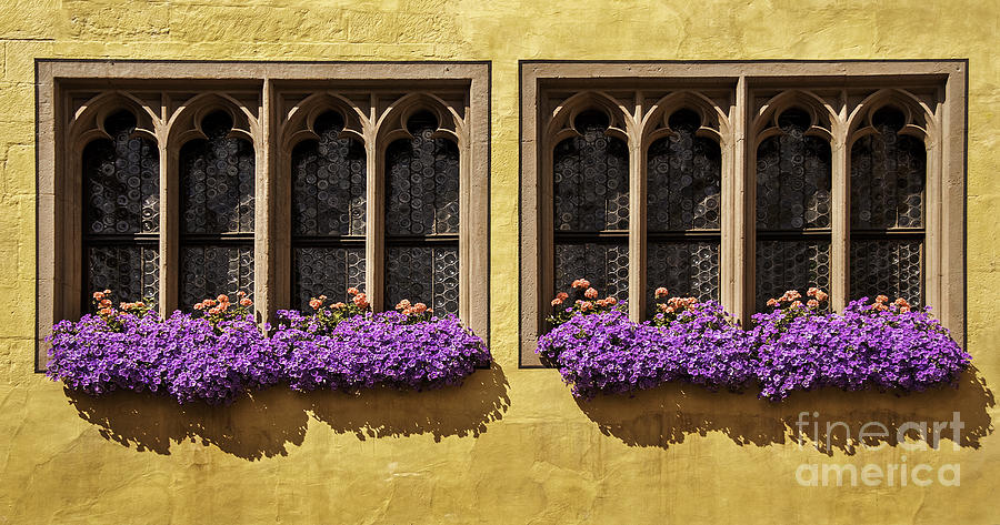 Gothic Windows and Flower Box in Germany Photograph by Phil Cardamone