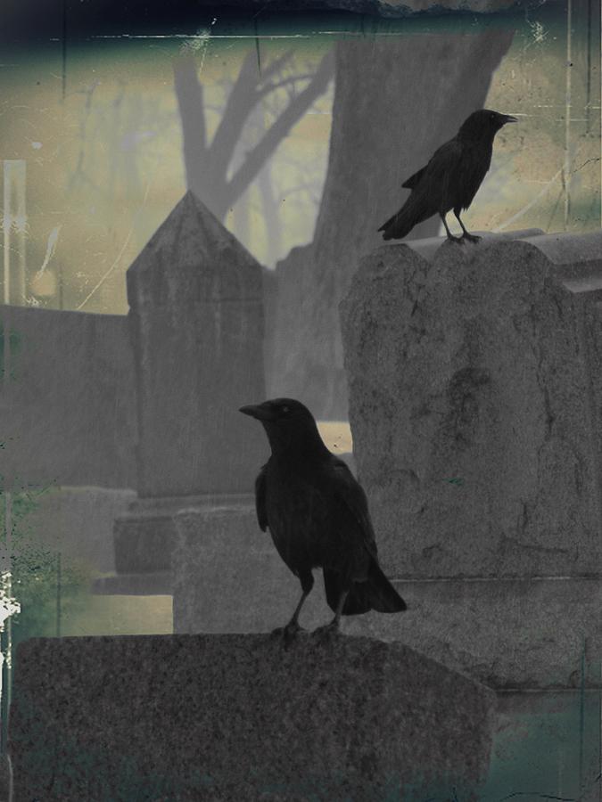 Raven Photograph - Gothic Winter Blackbirds by Gothicrow Images