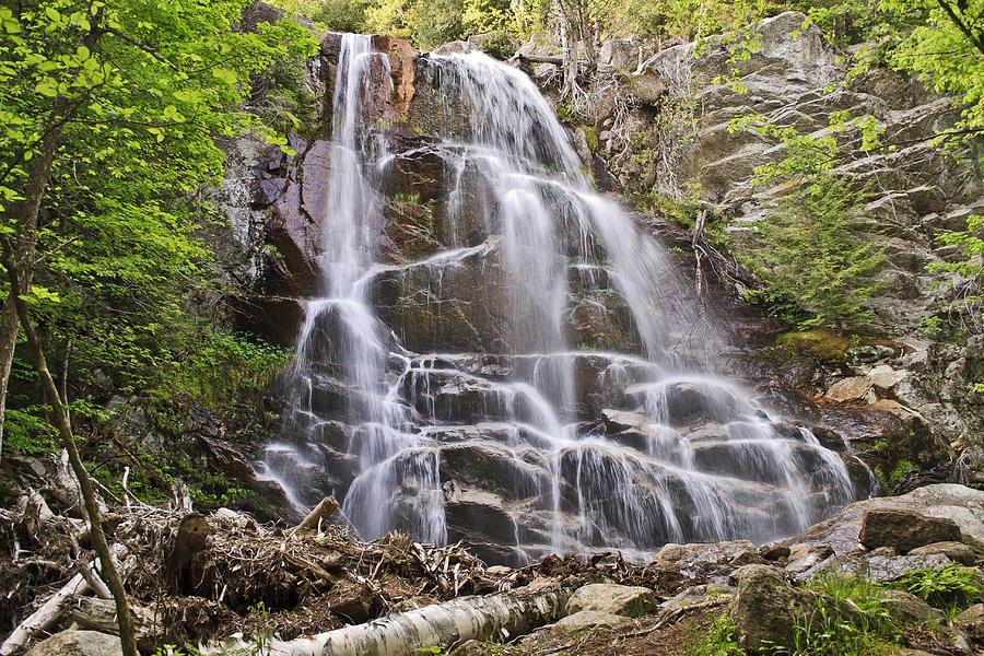 Gothics Mountain Trail waterfall Photograph by Marisa Geraghty Photography