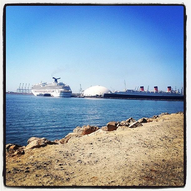 Gotta Get It While I Can...💗the Lbc! Photograph by Nicole Beck