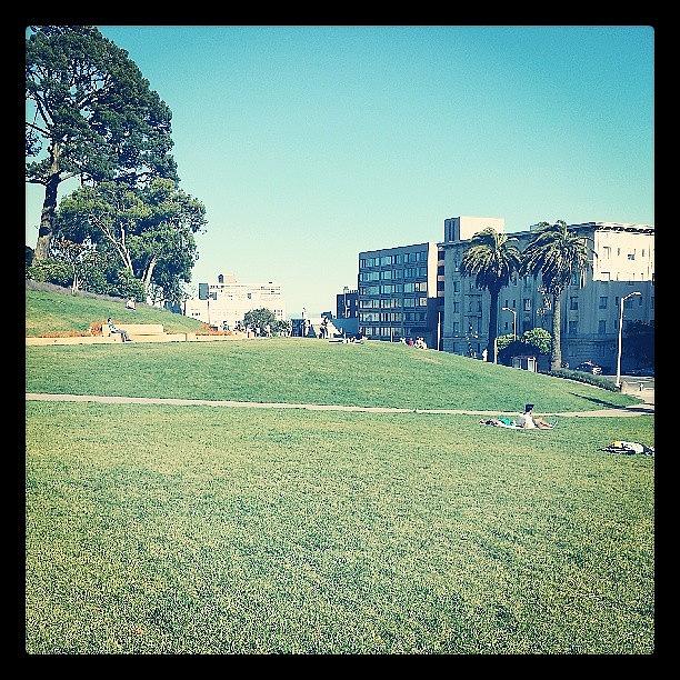 Park Photograph - Gotta Love A Sunny San Fran Day by Landon Shore