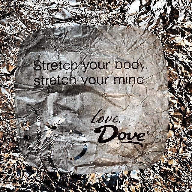 Gotta Love When Dove Gives You Great Photograph by Terri Carvajal