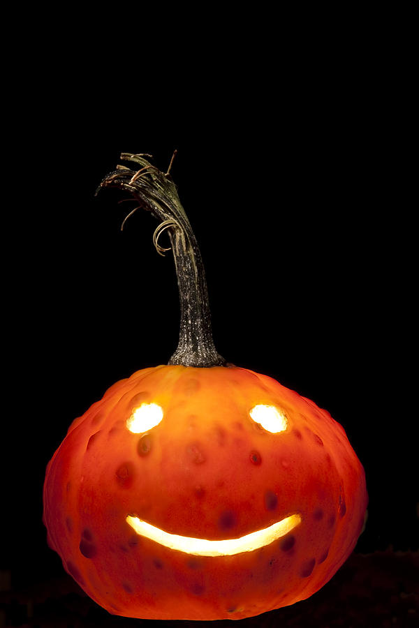 Halloween Photograph - Gourd Jackolantern 1  by John Brueske