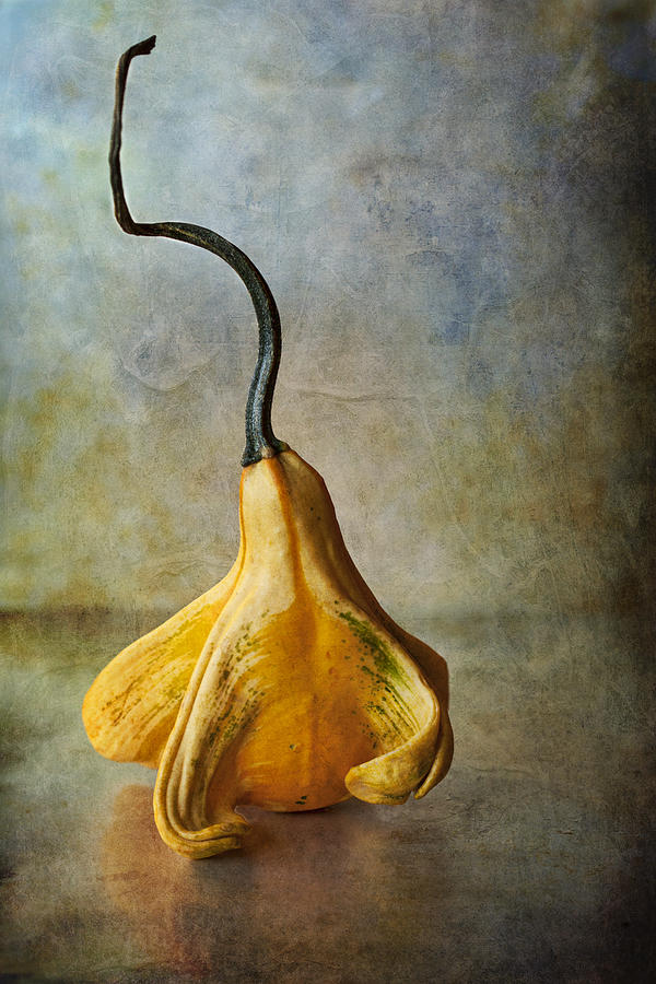 Gourd with a Queue Digital Art by Peggy Kahan