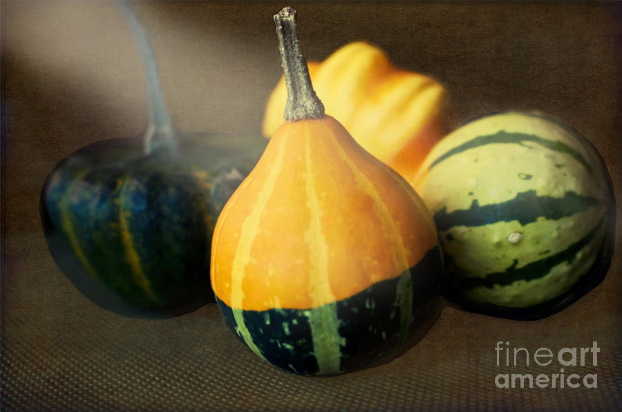 Thanksgiving Photograph - Gourds Aglow by Maria Janicki