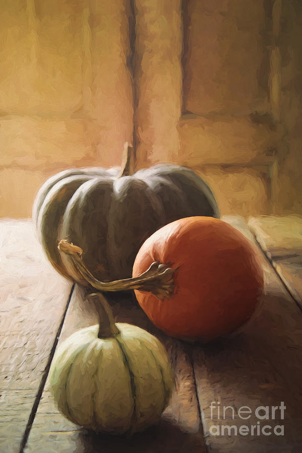 Gourds and pumpkin on kitchen table/ digital painting Photograph by Sandra Cunningham