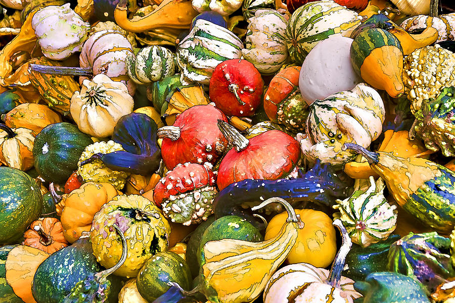 Gourds and Pumpkins at the Farmers Market Photograph by Peggy Collins