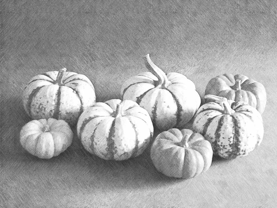 Gourds Photograph by Frank Wilson
