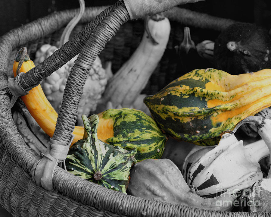 Gourds In Wicker Basket Photograph by Smilin Eyes Treasures