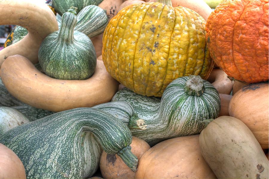 Gourds Photograph by Jane Linders