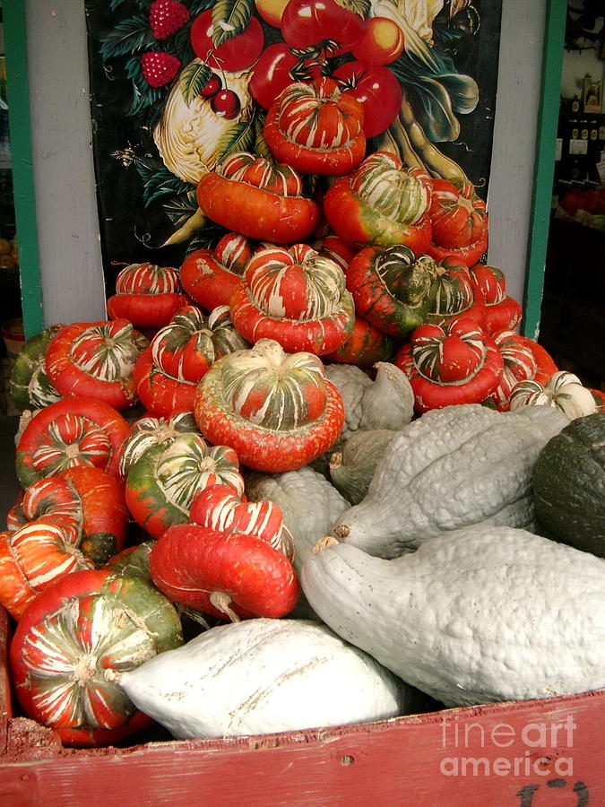 Gourds piled high Photograph by Joyce Gebauer