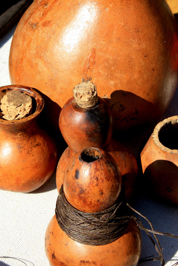 Gourds Used For Dye Storage Photograph By Suzie Banks