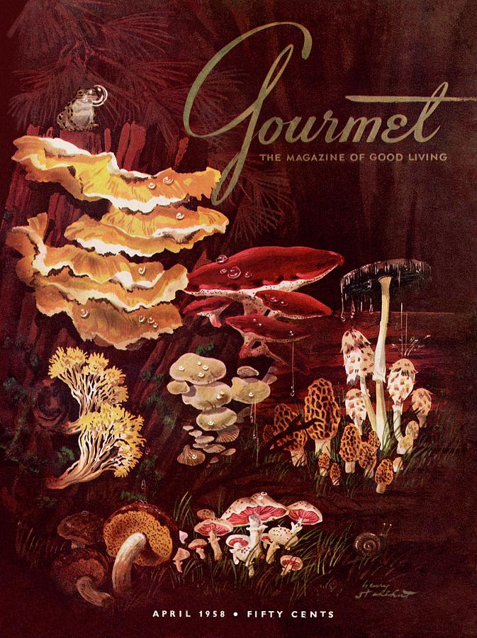 Gourmet Cover Featuring Wild Mushrooms Photograph by Henry Stahlhut