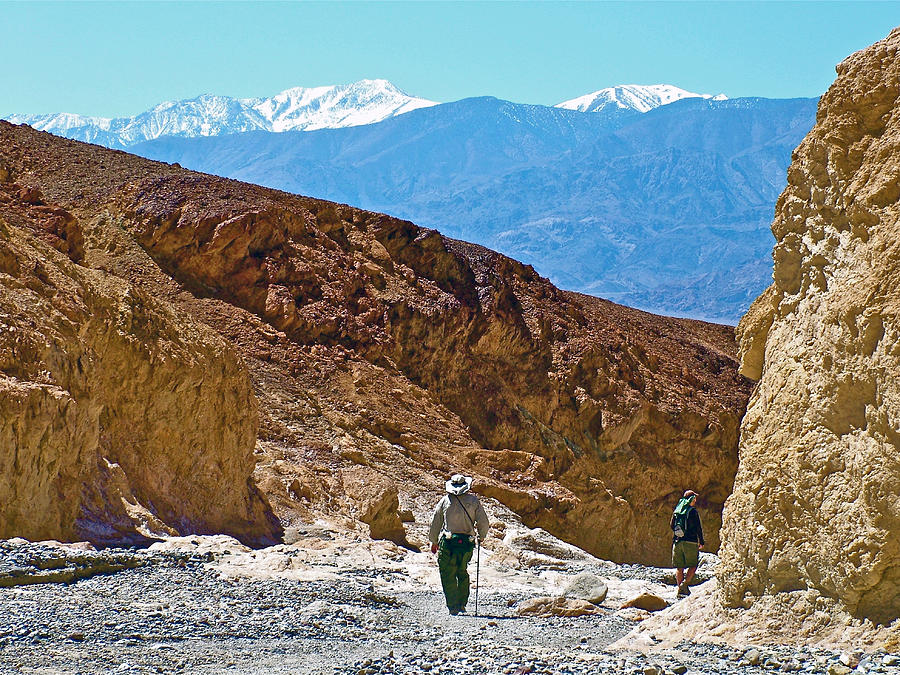 Gower Gulch Trail In Death Valley National Park California Photograph