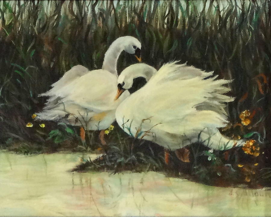 Bird Painting - Graceful Swans by Jennifer Calhoun