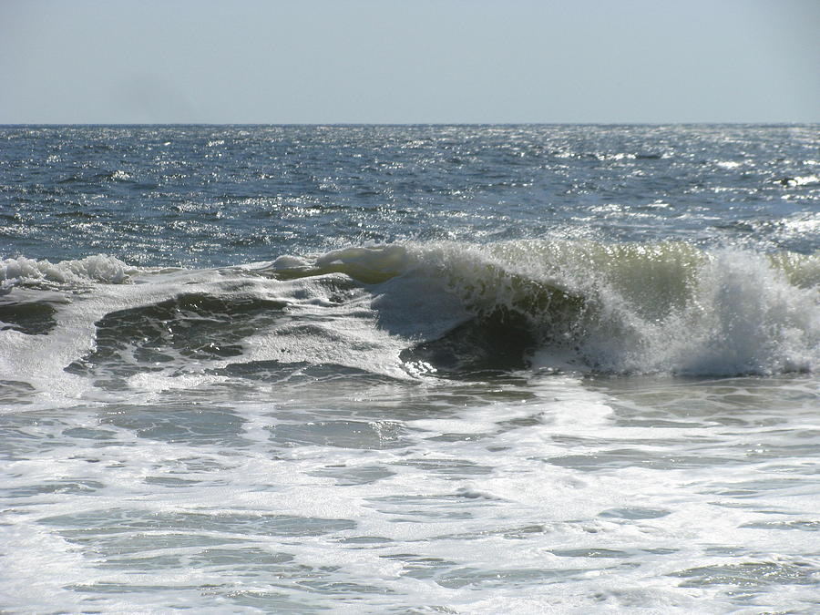 Graceful Wave Photograph by Ellen Meakin