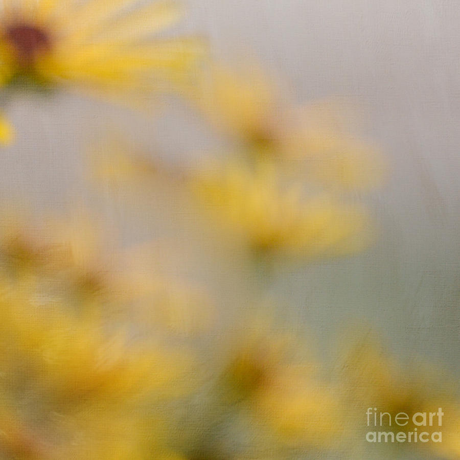Graceful Yellow Photograph by Kerri Farley