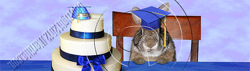 Nature Photograph - Graduation Bunny Rabbit # 546 by Jeanette K