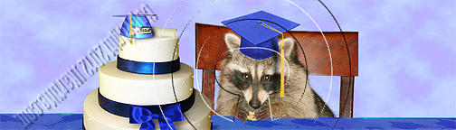 Nature Photograph - Graduation Raccoon # 535 by Jeanette K